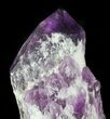 Elestial Amethyst Crystal Point - Madagascar #64756-2
